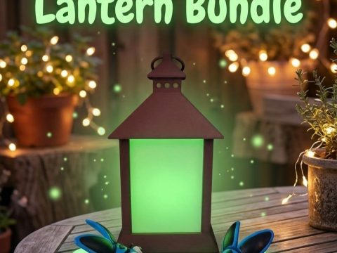 Firefly Lantern Bundle